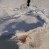 Coffee table petrified wood 53281