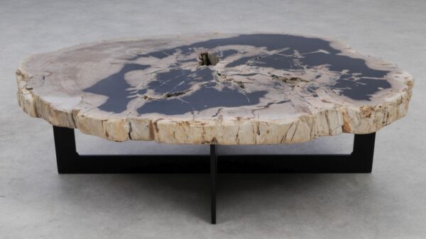 Coffee table petrified wood 53281