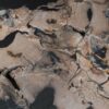 Coffee table petrified wood 53281
