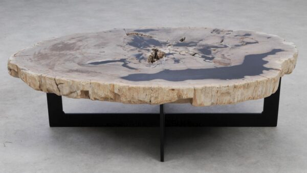 Coffee table petrified wood 53281