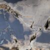 Coffee table petrified wood 53281