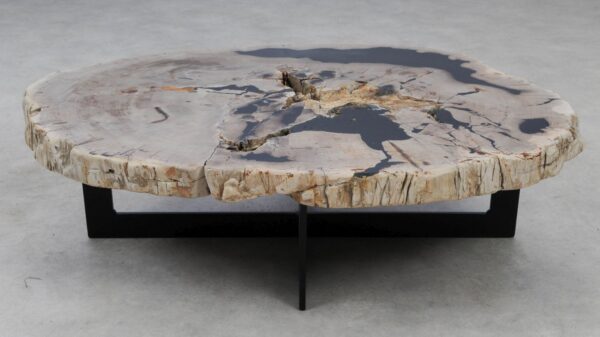 Coffee table petrified wood 53282