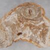 Coffee table petrified wood 53283