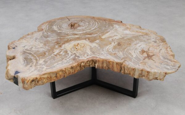 Coffee table petrified wood 53284
