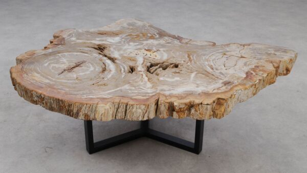 Coffee table petrified wood 53288