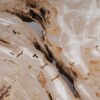 Coffee table petrified wood 53288