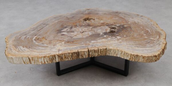 Coffee table petrified wood 53296
