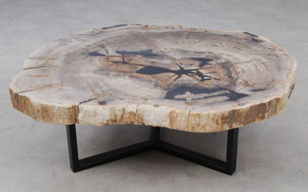 Coffee table petrified wood 53301