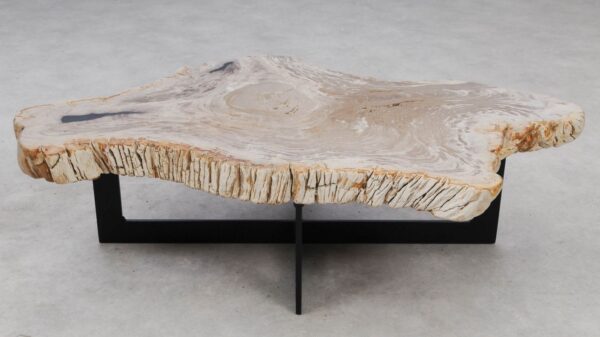 Coffee table petrified wood 53305