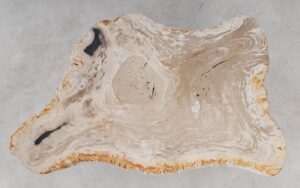 Coffee table petrified wood 53306