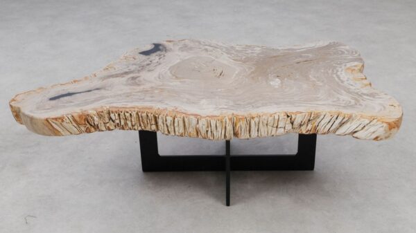 Coffee table petrified wood 53306