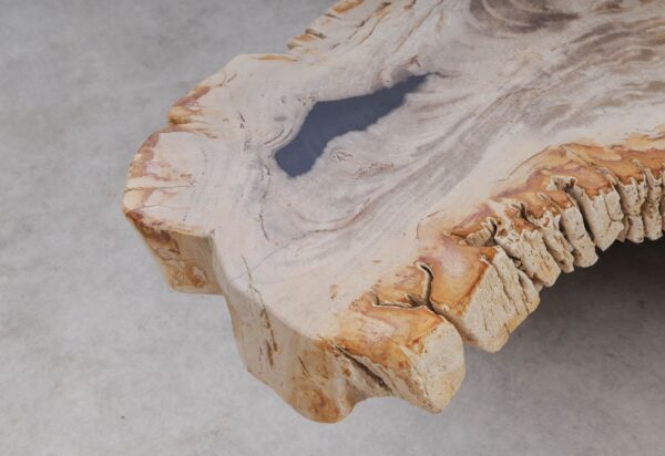 Coffee table petrified wood 53307