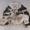 Coffee table petrified wood 53315