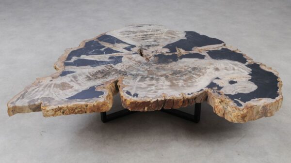 Coffee table petrified wood 53315