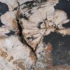 Coffee table petrified wood 53315