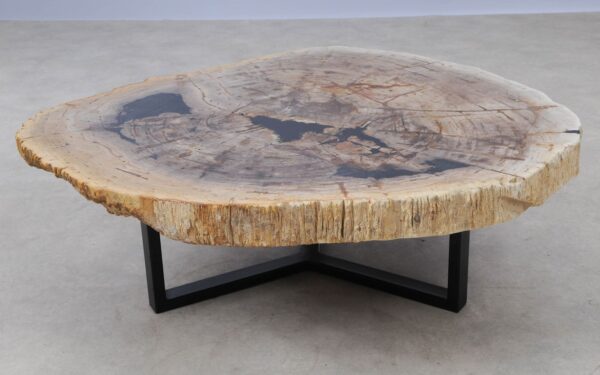 Coffee table petrified wood 53326