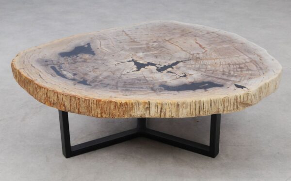 Coffee table petrified wood 53327