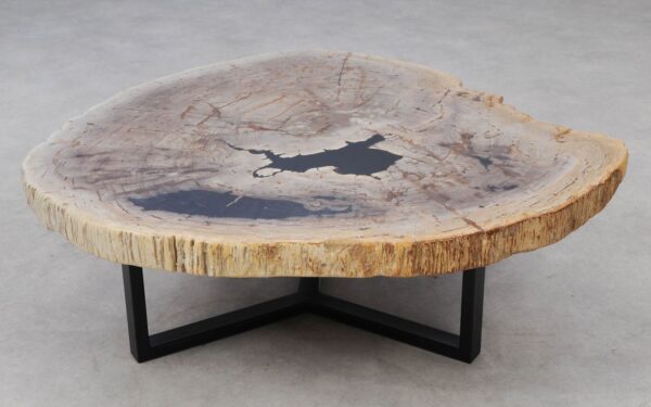 Coffee table petrified wood 53328