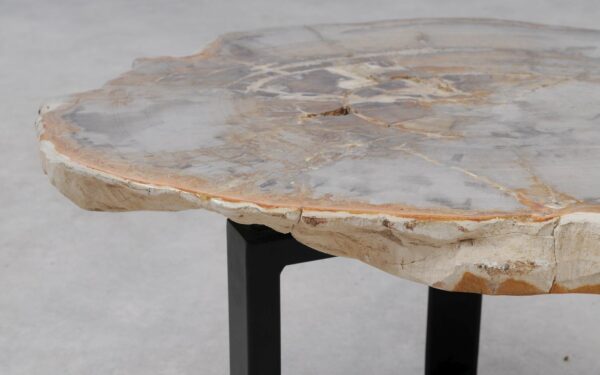 Coffee table petrified wood 53334