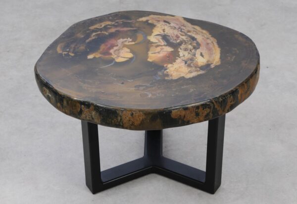 Coffee table petrified wood 53338