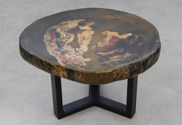 Coffee table petrified wood 53339