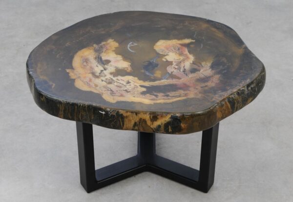 Coffee table petrified wood 53340