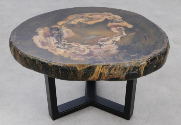Coffee table petrified wood 53341