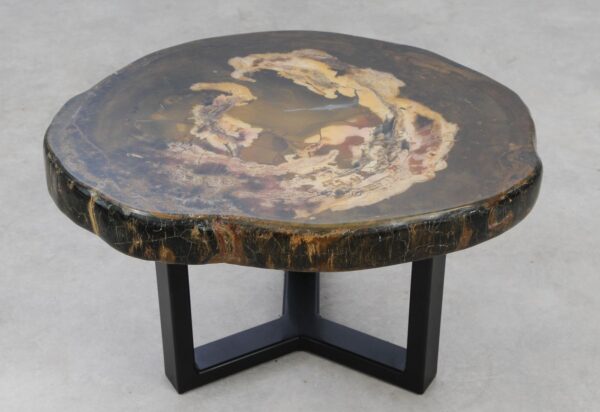 Coffee table petrified wood 53342
