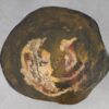 Coffee table petrified wood 53343