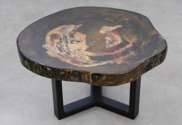Coffee table petrified wood 53343