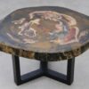 Coffee table petrified wood 53344