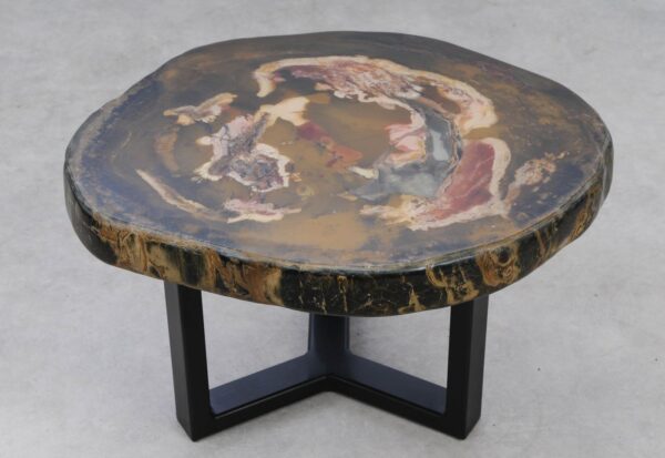 Coffee table petrified wood 53344