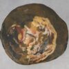 Coffee table petrified wood 53348