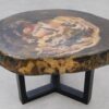 Coffee table petrified wood 53348