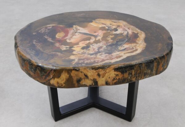 Coffee table petrified wood 53348