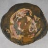 Coffee table petrified wood 53349
