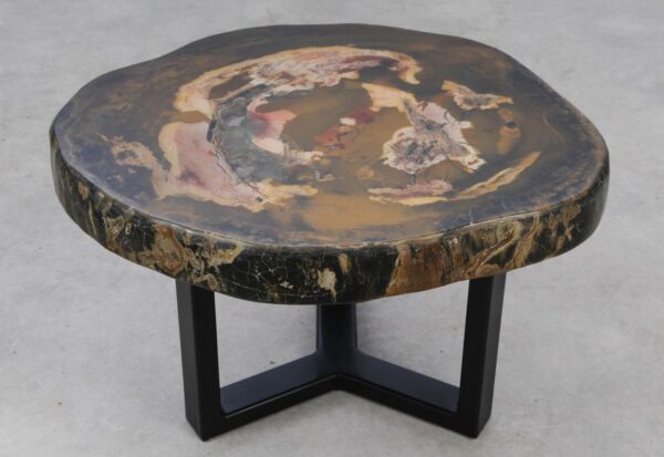 Coffee table petrified wood 53349