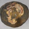 Coffee table petrified wood 53351