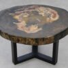 Coffee table petrified wood 53351