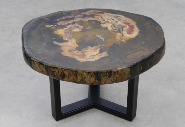 Coffee table petrified wood 53351