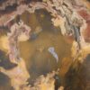 Coffee table petrified wood 53351