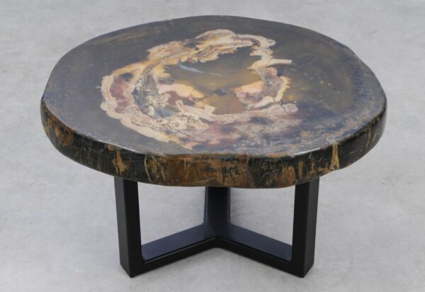 Coffee table petrified wood 53353