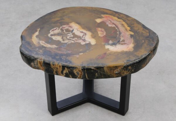 Coffee table petrified wood 53354