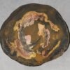 Coffee table petrified wood 53355