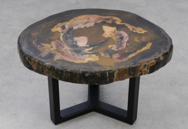 Coffee table petrified wood 53355