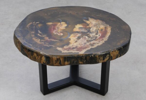 Coffee table petrified wood 53356