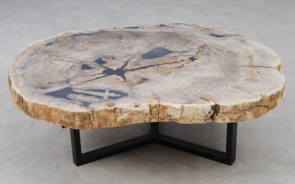 Coffee table petrified wood 53424