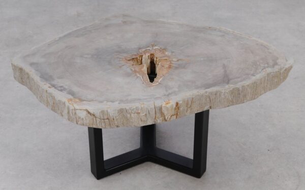 Coffee table petrified wood 53459