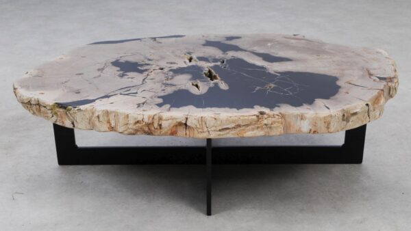 Coffee table petrified wood 53461