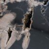 Coffee table petrified wood 53461